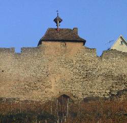Die Lauffener Stadtmauer