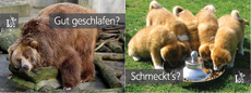 Pinnbox G&auml;stebefragung