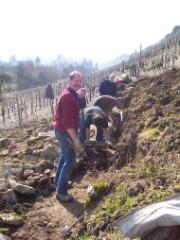 Landschaftspflegetag