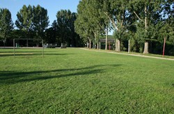 Kiesplatz am Neckarufer