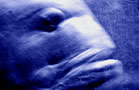 blue fish #17