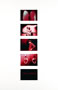 red dream
