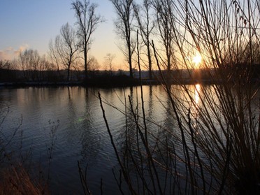 Gudrun Cremer - Sonnenuntergang am Neckar, 26. Januar