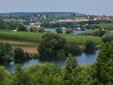 Ulrike Zimmer, Lauffender Flusslandschaft, Blick Richtung Lauffen von den Weinbergen am Neckar Richtung Krappenfelsen, 9. Juli
