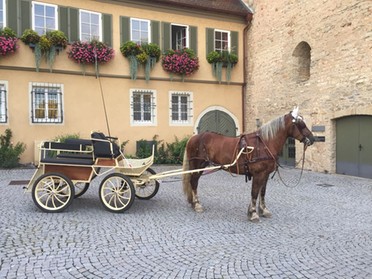 Bernhard Kast - 13.8.2017 - Pferdekutsche vor dem Rathaus