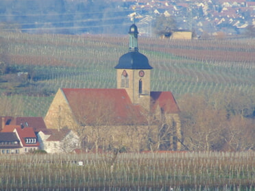 29.01.2023 - Bernhard Müller - Blick von Kirchheim a.N. auf die Regiswindiskirche