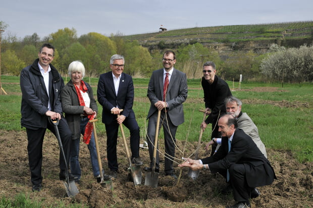 Neckarschwarzpappeln Pflanzaktion Spatenstich
