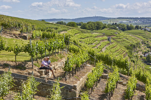 Lauffener Steillagen an der Zaber im Sommer (Foto: Christian Ernst)