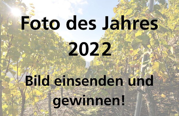 Foto des Jahres 2022