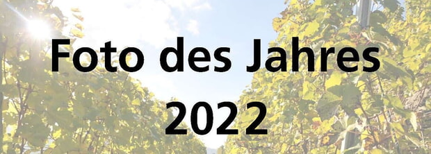 Foto des Jahres 2022