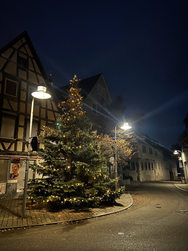 Baumspende von Familie Hirschmüller in der Lange Straße