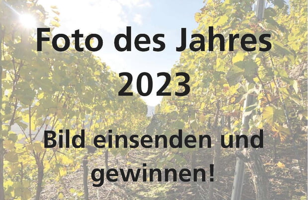 Foto des Jahres 2023 Logo