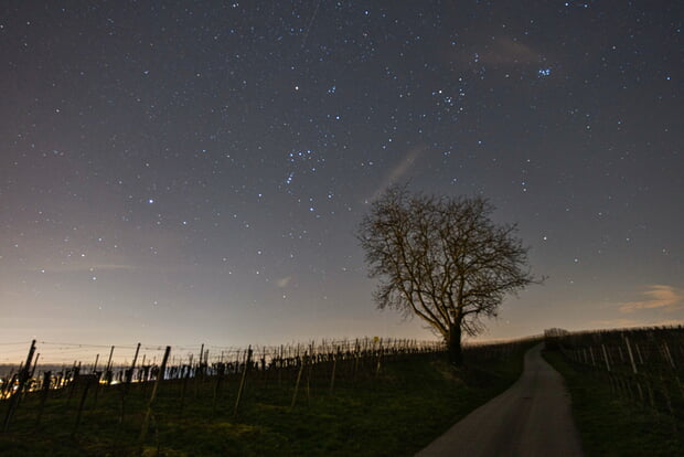 Februar: Ulrich Seidel - Sternenhimmel über den Weinbergen von Lauffen a.N.