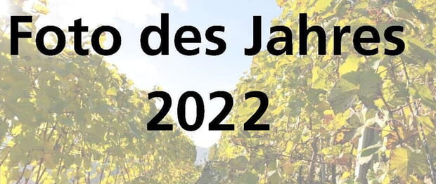 Foto des Jahres 2022