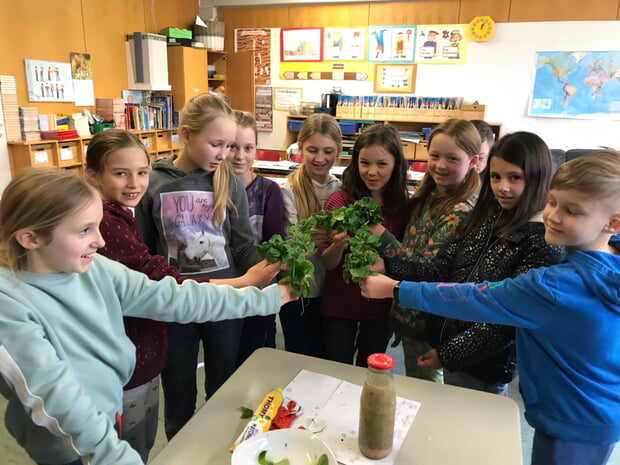 Carlotta: Unser Feldsalat ist prächtig gediehen!