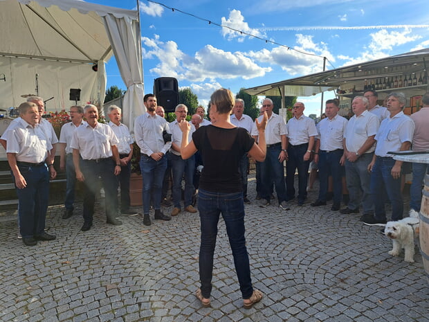 Wein auf der Insel