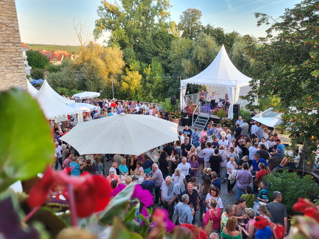 Wein auf der Insel