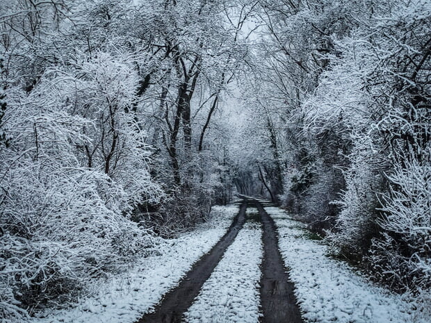 Januar - Winter im Kaywald