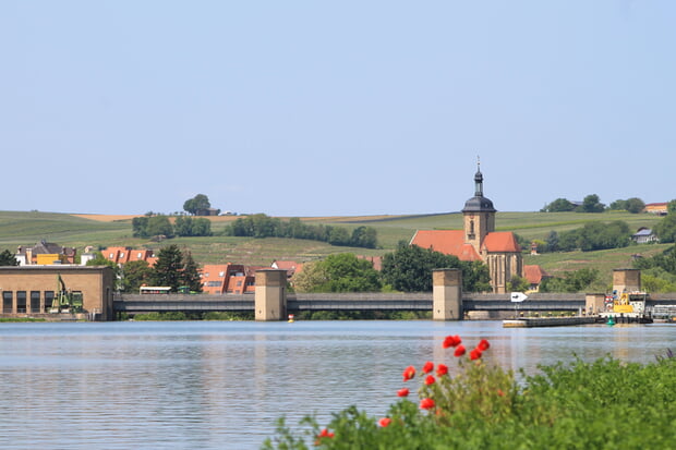 Mai - Marco Eberbach - Rote Uferblüte vor der Lauffener Kulisse am Neckar