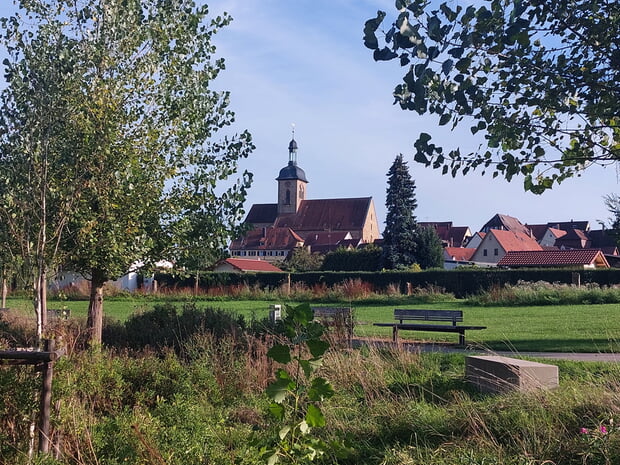 September - Hans-Peter Schwarz - Blick auf die Regiswindiskirche durch den LamparterPark