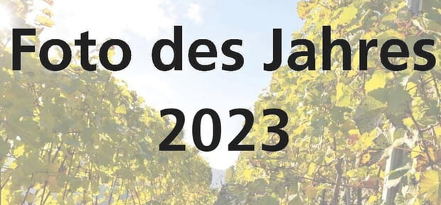 Logo zur Abstimmung Foto des Jahres 2023