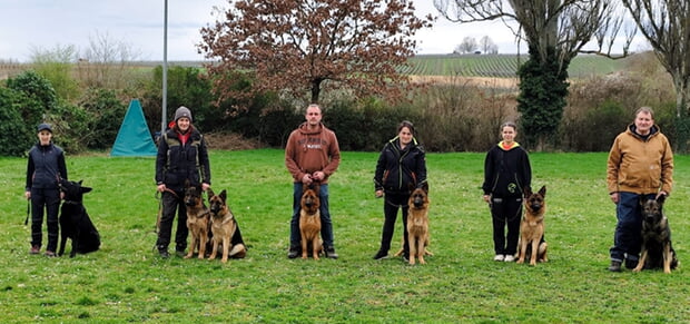 Frühjahrsprüfung beim Verein für Deutsche Schäferhunde OG Lauffen