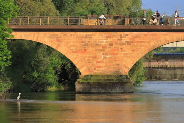 Foto: Frank-M. Zahn aus dem Wettbewerb zum Foto des Jahres 2023 : Die alte Neckarbrücke