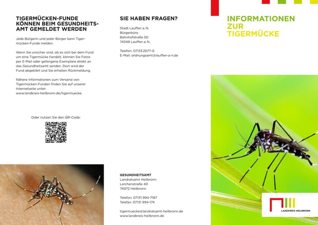 Informationen zum Auftreten der Asiatischen Tigermücke