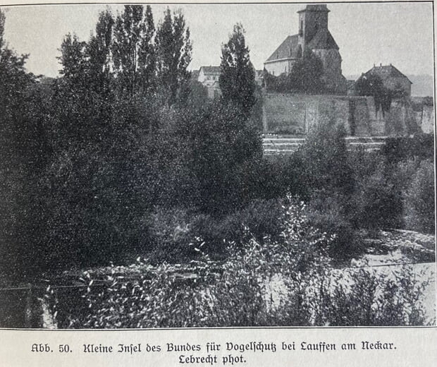 Große und kleine Insel für Vogelschutz