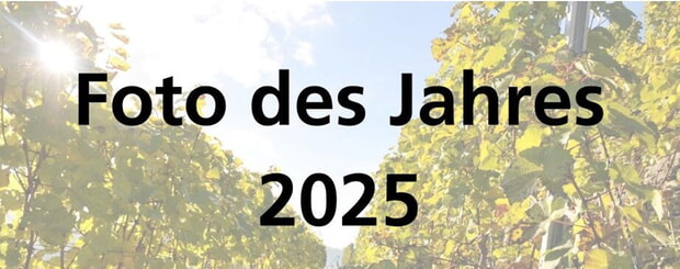 Foto des Jahres 2025