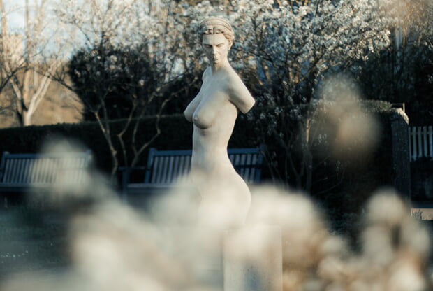 Foto: Alexandra Lell aus dem Wettbewerb zum Foto des Jahres 2024: Die Schönheit der Seele umrahmt von Blüten - Hölderlins Diotima im LamperterPark