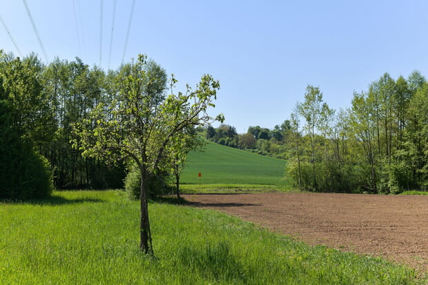 SEL hat alle landwirtschaftliche genutzte Flächen rekultiviert an die Bewirtschafter übergeben
