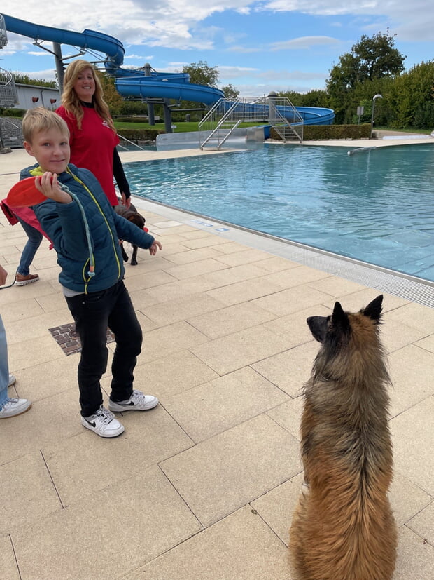 Das Hundeschwimmen am vergangenen Samstag im Freibad "Ulrichsheide" wurde gut angenommen