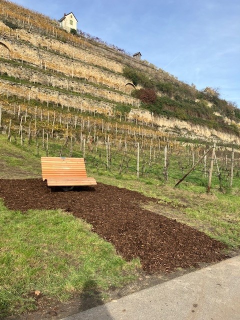 Die letzte Bank aus der Spendenaktion im vergangenen Jahr wurde unterhalt des Lauer-Weinbergs angebracht und lädt zum Verweilen ein.