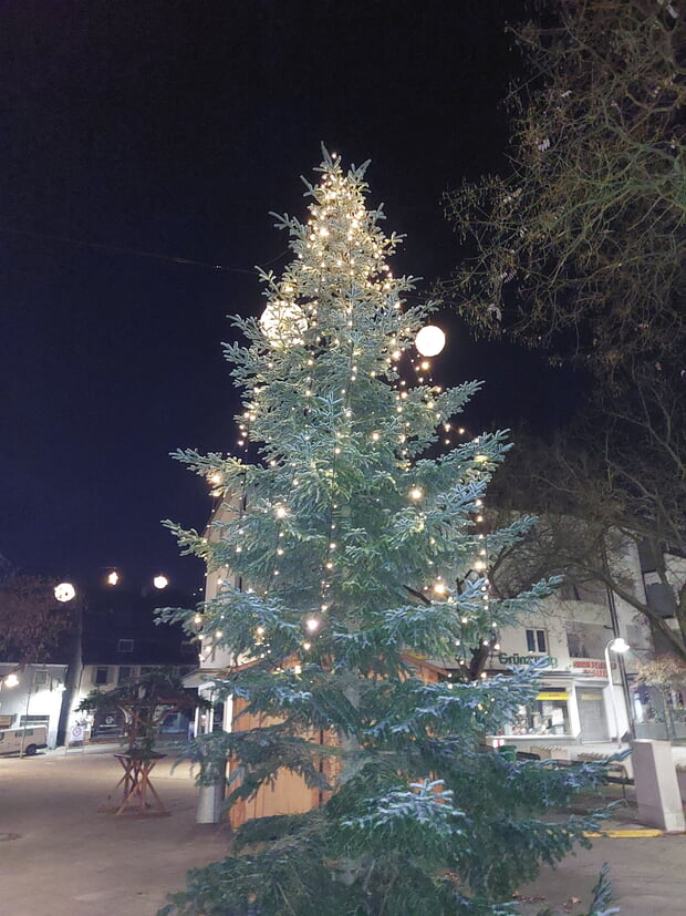Familie Volz aus der Neckarstraße spendete den Baum, der in der Lange Straße steht