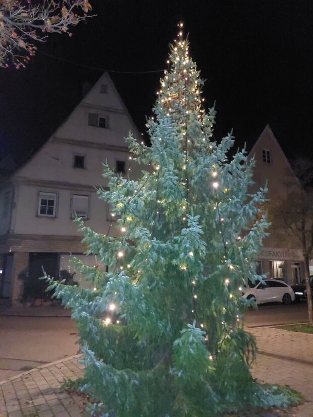 Familie Volz aus der Neckarstraße spendete den Baum, der in der Lange Straße für weihnachtliche Atmosphäre sorgt