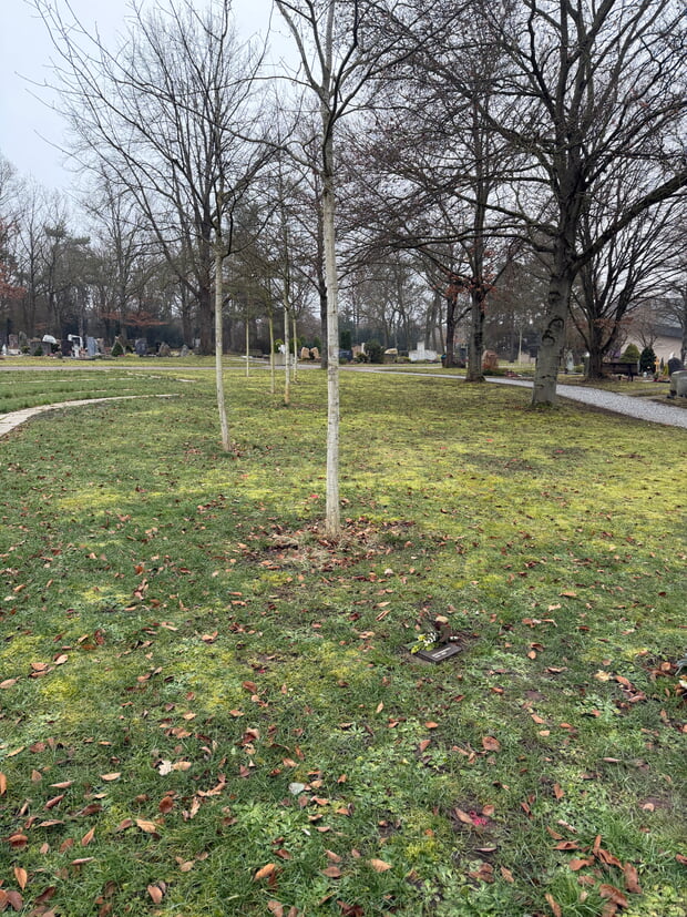 Urnengr&auml;berfeld