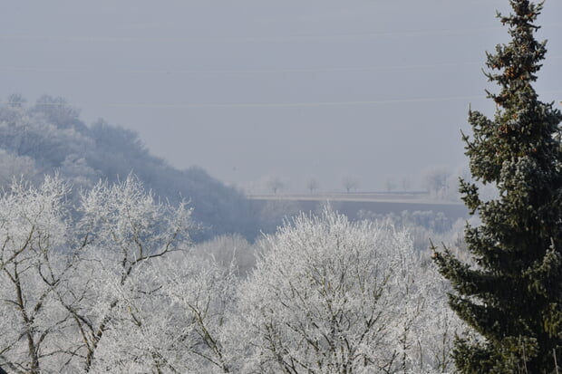 Januar - Werner Ohsam - Frost im Kaywald