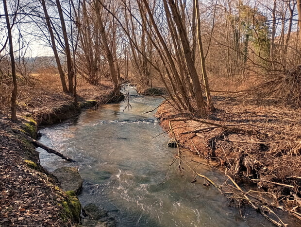 Bernhard M&uuml;ller - Zaberaue