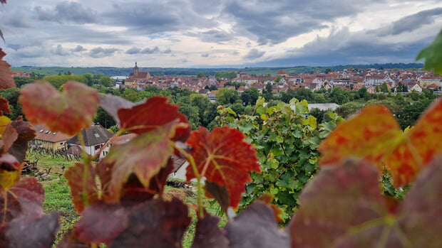 Birgit Sautter - Wolkenspiel mit Regiswindis