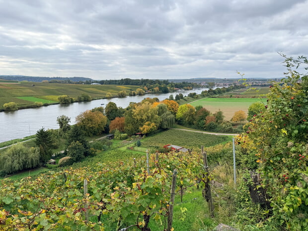 Uwe Milbradt - Herbst am Neckar
