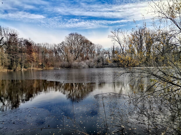 Birgit Nollenberger - Frostiger Morgen am Seeloch/Fischersee