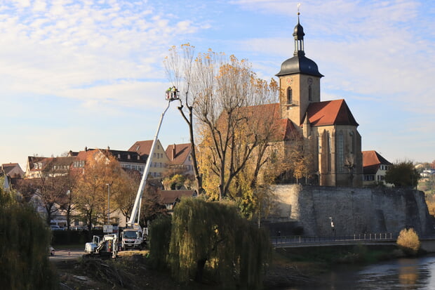 Schattige Bäume zierten die Uferstraße, die aufgrund von Schäden ersetzt werden mussten