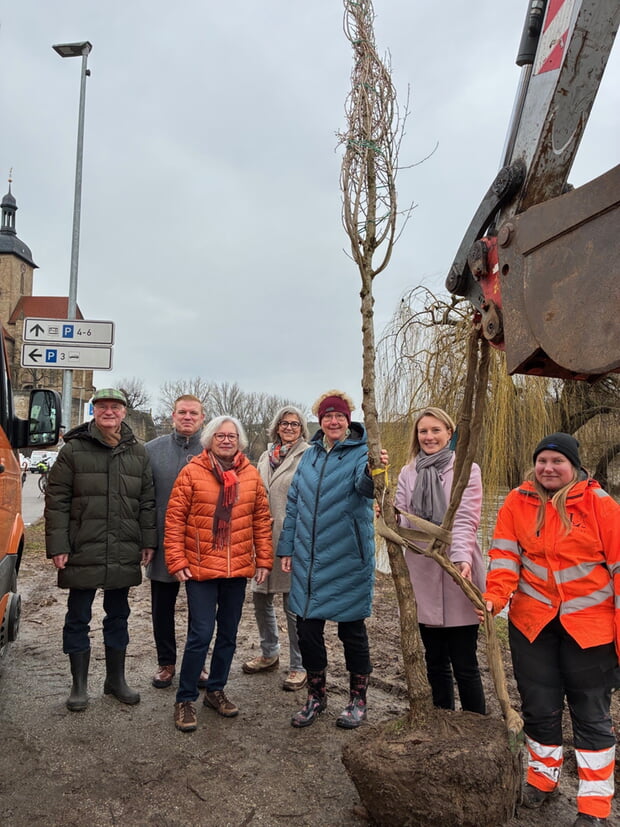 Baum-Übergabe von Uli Peter vom Zabergäuverein, VBU-Vorstand Heiko Schneider, Dorothee Vögele, Jutta Kicherer von Stöcker GmbH sowie Inge Wolfinger und Bürgermeisterin Sarina Pfründer neben Bauhof-Mitarbeiterin Annalena Burrer