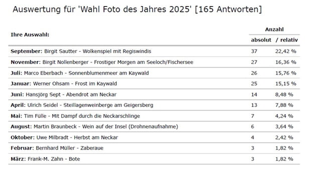 Auswertung - Foto des Jahres 2025