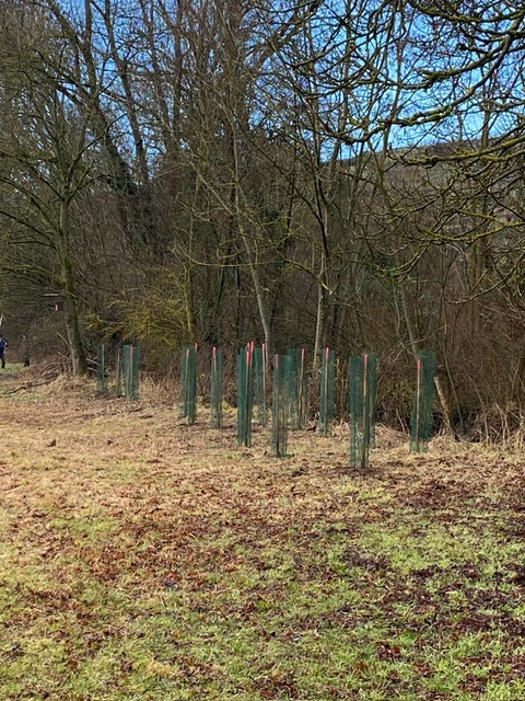 Landschaftspflegetag