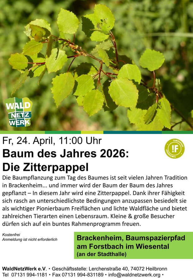 Baum des Jahres 2026: Die Zitterpappel Die Baumpflanzung zum Tag des Baumes ist seit vielen Jahren Tradition in Brackenheim... und immer wird der Baum der Baum des Jahres gepflanzt – In diesem Jahr wird eine Zitterpappel. Dank ihrer Fähigkeit sich rasch an unterschiedlichste Bedingungen anzupassen besiedelt sie als wichtiger Pionierbaum Freiflächen und lichte Waldfläche und bietet zahlreichen Tierarten einen Lebensraum. Kleine & große Besucher dürfen sich auf ein buntes Rahmenprogramm freuen.