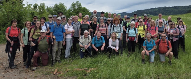 Der Schw&auml;bische Albverein wandertre im Schwarzwald