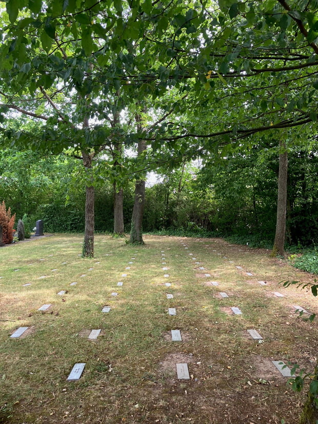 Neues Grabfeld auf dem Parkfriedhof