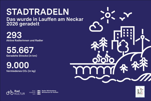 Stadtradeln Ergebnisgrafik